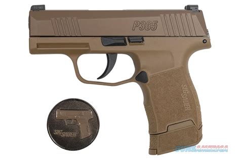 fde 365